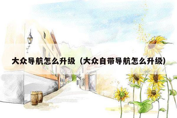 大众导航怎么升级（大众自带导航怎么升级）