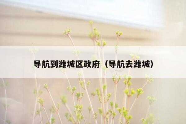 导航到潍城区政府（导航去潍城）
