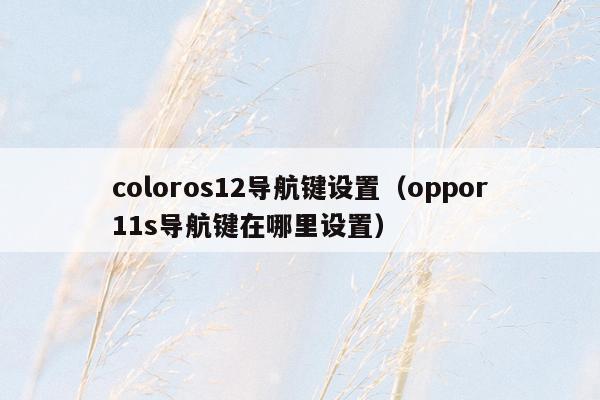 coloros12导航键设置（oppor11s导航键在哪里设置）