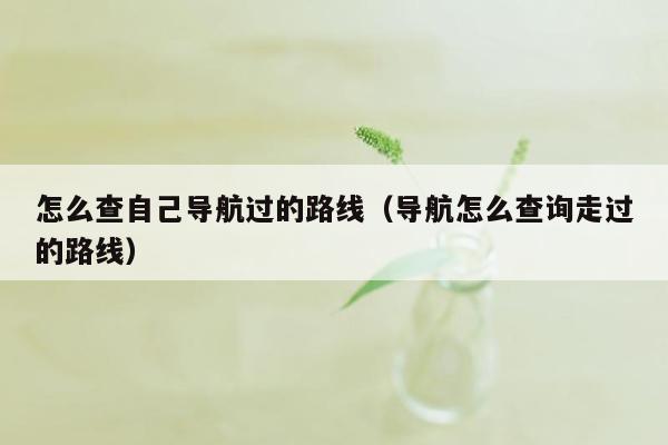 怎么查自己导航过的路线（导航怎么查询走过的路线）