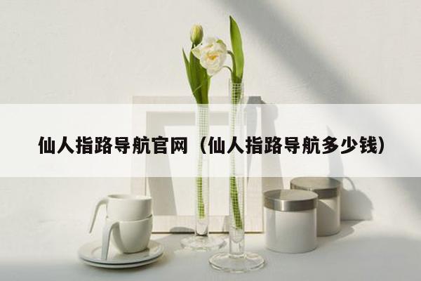 仙人指路导航官网（仙人指路导航多少钱）