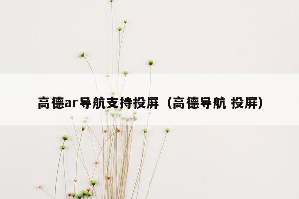 高德ar导航支持投屏（高德导航 投屏）