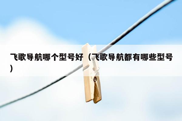 飞歌导航哪个型号好（飞歌导航都有哪些型号）