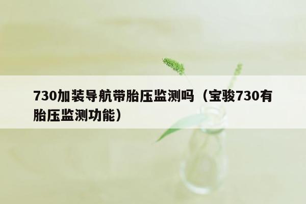 730加装导航带胎压监测吗（宝骏730有胎压监测功能）