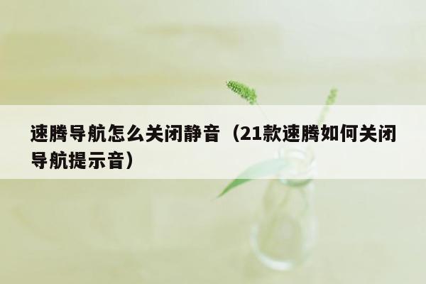 速腾导航怎么关闭静音（21款速腾如何关闭导航提示音）
