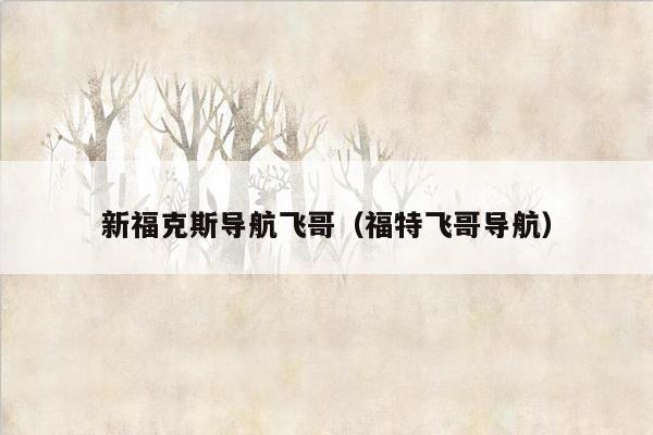 新福克斯导航飞哥（福特飞哥导航）