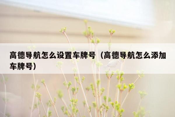 高德导航怎么设置车牌号（高德导航怎么添加车牌号）