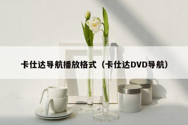 卡仕达导航播放格式（卡仕达DVD导航）