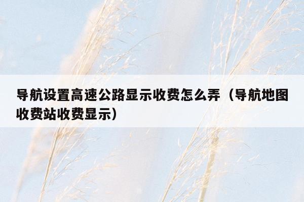 导航设置高速公路显示收费怎么弄（导航地图收费站收费显示）