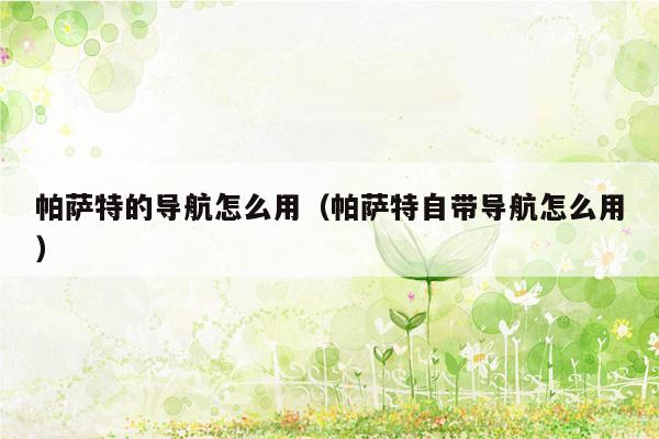 帕萨特的导航怎么用（帕萨特自带导航怎么用）