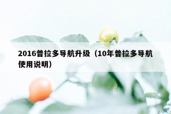 2016普拉多导航升级（10年普拉多导航使用说明）