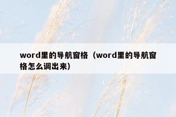 word里的导航窗格（word里的导航窗格怎么调出来）