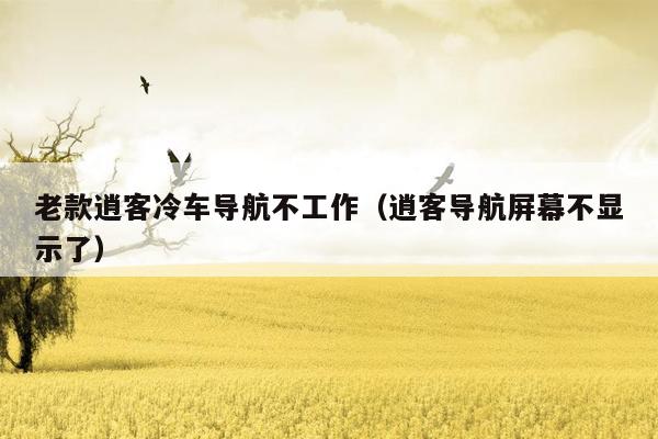 老款逍客冷车导航不工作（逍客导航屏幕不显示了）