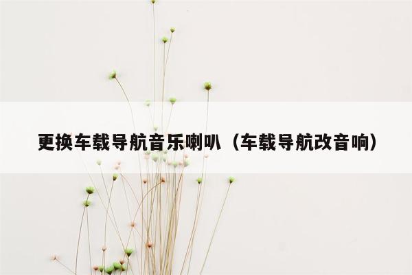 更换车载导航音乐喇叭（车载导航改音响）