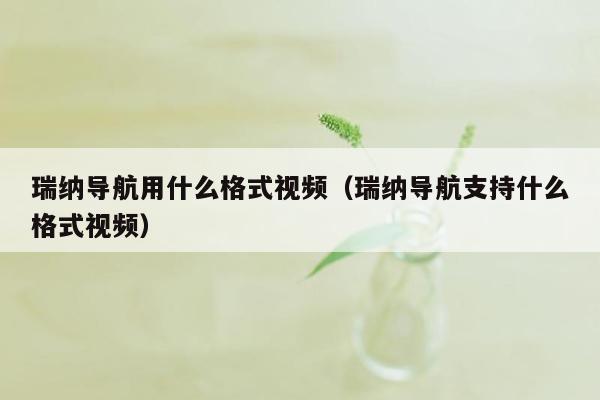 瑞纳导航用什么格式视频（瑞纳导航支持什么格式视频）