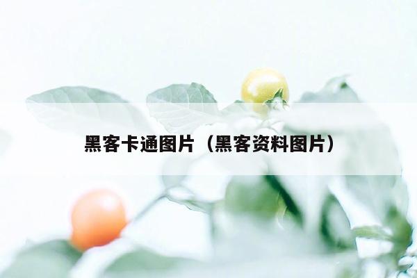 黑客卡通图片（黑客资料图片）