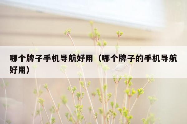 哪个牌子手机导航好用（哪个牌子的手机导航好用）
