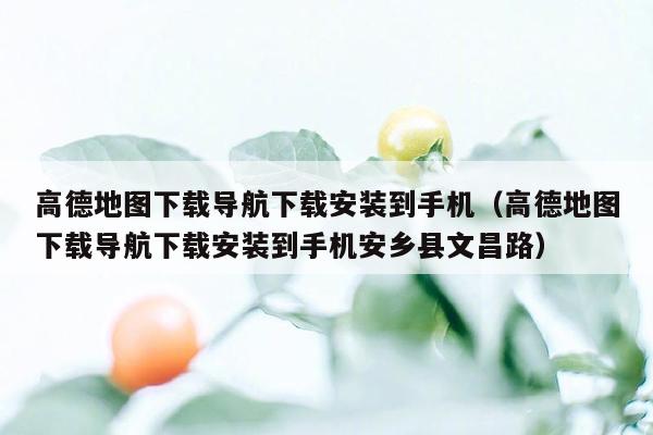 高德地图下载导航下载安装到手机（高德地图下载导航下载安装到手机安乡县文昌路）