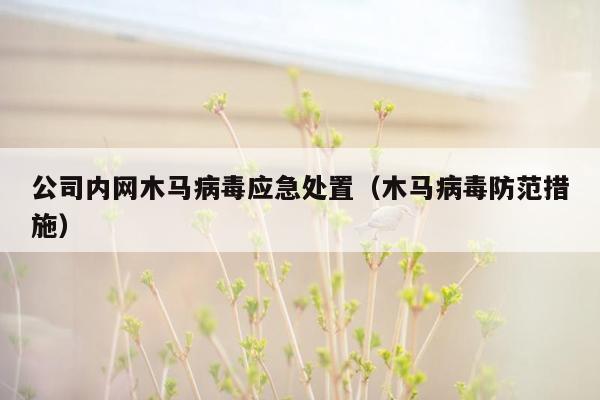 公司内网木马病毒应急处置（木马病毒防范措施）