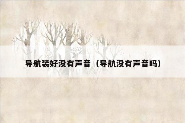 导航装好没有声音（导航没有声音吗）