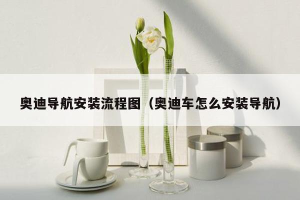 奥迪导航安装流程图（奥迪车怎么安装导航）