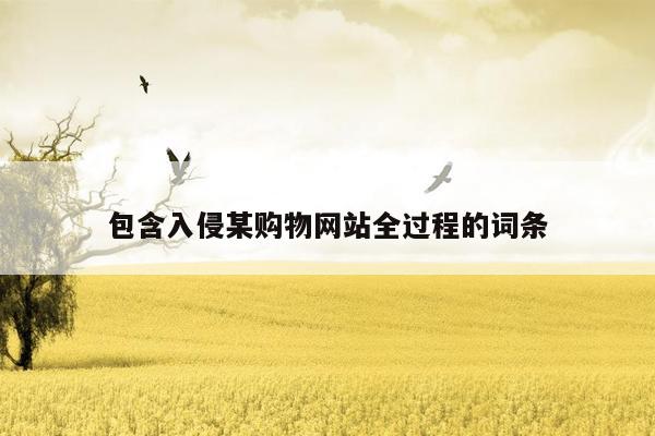 包含入侵某购物网站全过程的词条