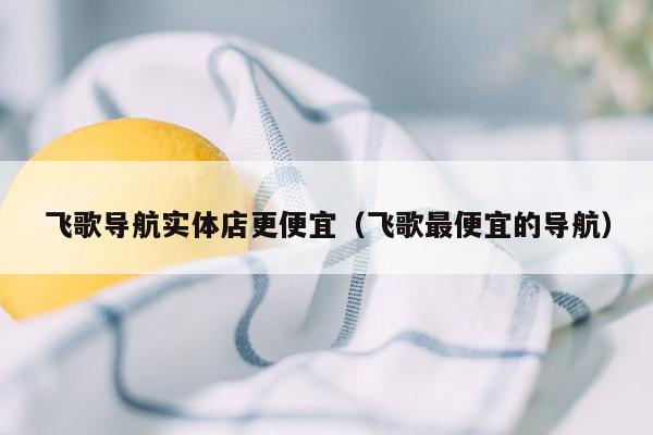 飞歌导航实体店更便宜（飞歌最便宜的导航）