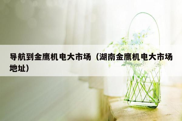 导航到金鹰机电大市场（湖南金鹰机电大市场地址）