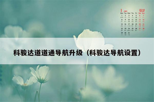 科骏达道道通导航升级（科骏达导航设置）