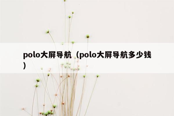 polo大屏导航（polo大屏导航多少钱）