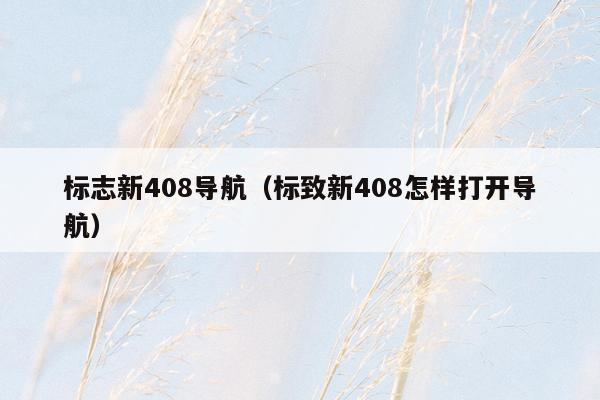 标志新408导航（标致新408怎样打开导航）