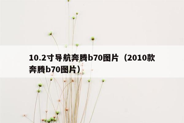 10.2寸导航奔腾b70图片（2010款奔腾b70图片）