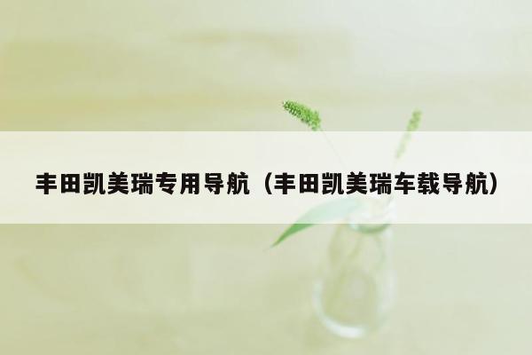 丰田凯美瑞专用导航（丰田凯美瑞车载导航）