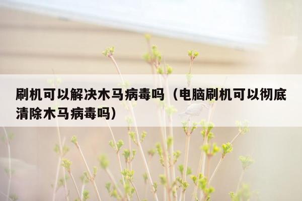 刷机可以解决木马病毒吗（电脑刷机可以彻底清除木马病毒吗）