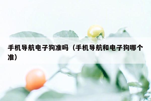 手机导航电子狗准吗（手机导航和电子狗哪个准）