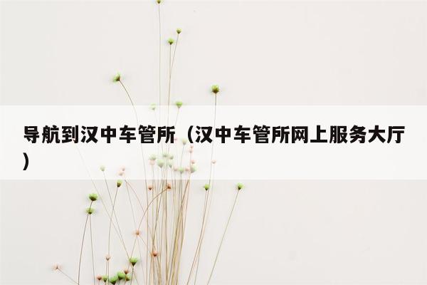 导航到汉中车管所（汉中车管所网上服务大厅）