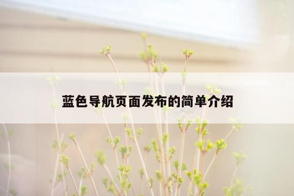 蓝色导航页面发布的简单介绍