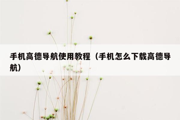 手机高德导航使用教程（手机怎么下载高德导航）