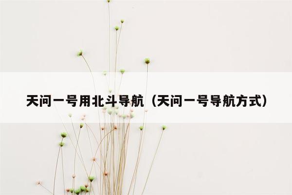 天问一号用北斗导航（天问一号导航方式）