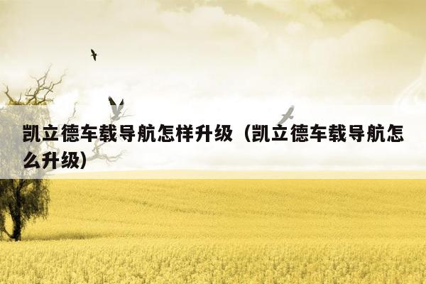 凯立德车载导航怎样升级（凯立德车载导航怎么升级）