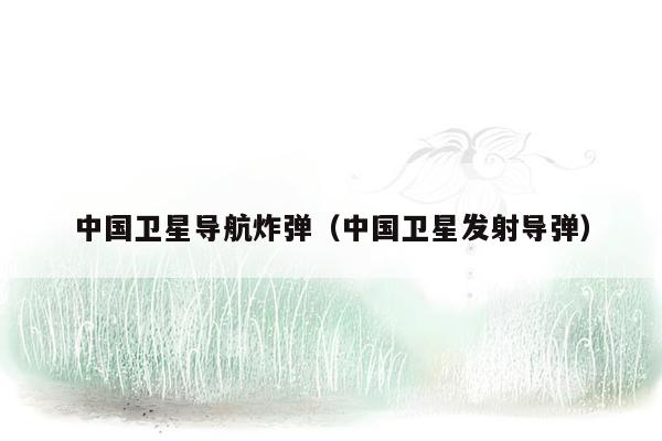 中国卫星导航炸弹（中国卫星发射导弹）