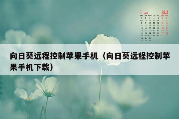 向日葵远程控制苹果手机（向日葵远程控制苹果手机下载）