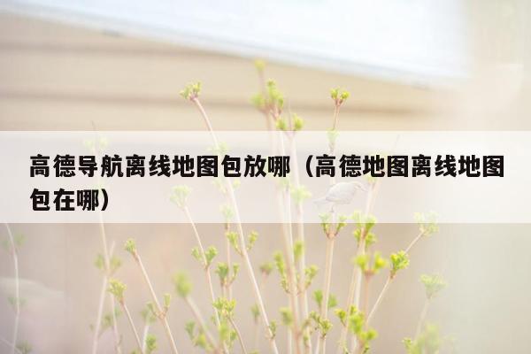 高德导航离线地图包放哪（高德地图离线地图包在哪）