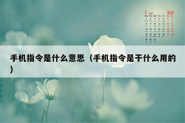 手机指令是什么意思（手机指令是干什么用的）