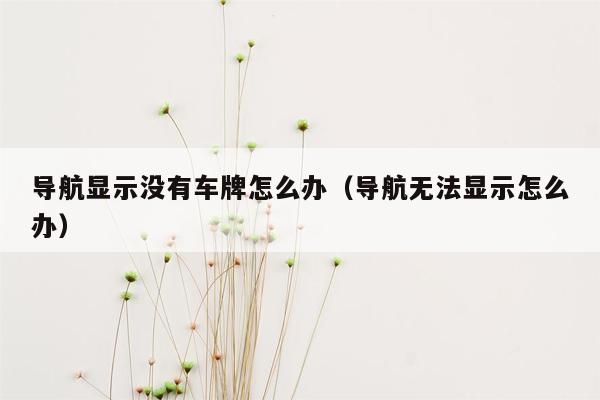 导航显示没有车牌怎么办（导航无法显示怎么办）