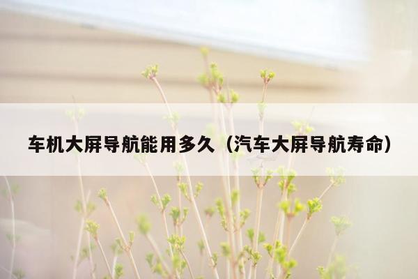 车机大屏导航能用多久（汽车大屏导航寿命）