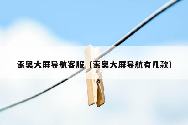 索奥大屏导航客服（索奥大屏导航有几款）