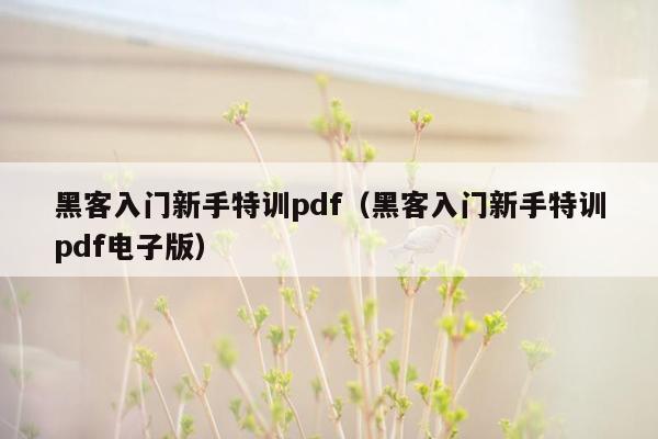 黑客入门新手特训pdf（黑客入门新手特训pdf电子版）