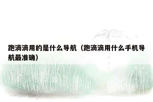 跑滴滴用的是什么导航（跑滴滴用什么手机导航最准确）