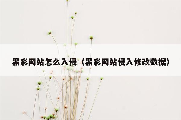 黑彩网站怎么入侵（黑彩网站侵入修改数据）